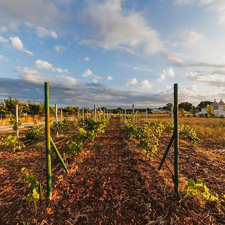 Esclusive Luxury Private Trulli * Мартина-Франка